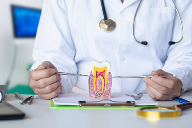 Best Emergency Dentist for Lost Fillings or Crowns in Morristown, NJ